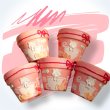画像1: izupom_toi46 テディベア鉢（2.5号） (1)